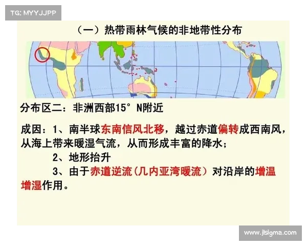 网球比赛中非受迫性失误的成因、影响及减少策略分析 网球比赛中非受迫性失误的成因、影响及减少策略分析